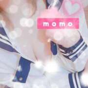 ヒメ日記 2026/02/08 00:30 投稿 もも 石庭