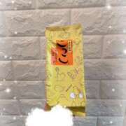 ヒメ日記 2026/02/08 23:00 投稿 もも 石庭