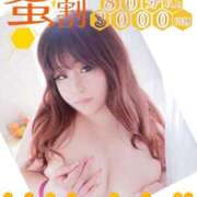 ヒメ日記 2025/09/04 11:28 投稿 うみ ピーチハニー