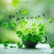 ヒメ日記 2025/06/02 10:54 投稿 ひろこ 熟女の風俗最終章 新潟店