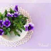 ヒメ日記 2025/06/05 00:04 投稿 ひろこ 熟女の風俗最終章 新潟店