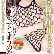 ヒメ日記 2025/03/23 08:51 投稿 愛加ゆら 秘密倶楽部 凛 船橋本店