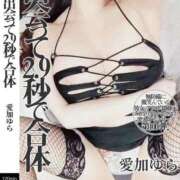 ヒメ日記 2025/03/31 08:44 投稿 愛加ゆら 秘密倶楽部 凛 船橋本店