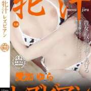 ヒメ日記 2025/12/12 08:03 投稿 愛加ゆら 秘密倶楽部 凛 船橋本店