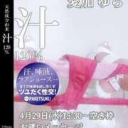 ヒメ日記 2026/03/23 10:08 投稿 愛加ゆら 秘密倶楽部 凛 船橋本店