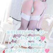 ヒメ日記 2026/04/10 13:06 投稿 愛加ゆら 秘密倶楽部 凛 船橋本店