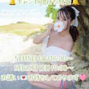 ヒメ日記 2026/04/12 08:20 投稿 愛加ゆら 秘密倶楽部 凛 船橋本店