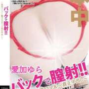 ヒメ日記 2026/06/15 09:15 投稿 愛加ゆら 秘密倶楽部 凛 船橋本店
