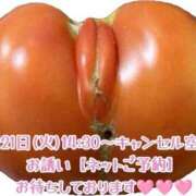 ヒメ日記 2026/06/30 08:02 投稿 愛加ゆら 秘密倶楽部 凛 船橋本店