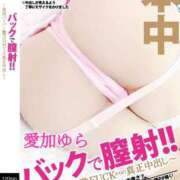 ヒメ日記 2026/07/12 08:14 投稿 愛加ゆら 秘密倶楽部 凛 船橋本店