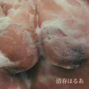 ヒメ日記 2026/06/14 17:09 投稿 清春 BBW（ビッグビューティフルウーマン）