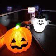 ヒメ日記 2025/10/31 08:30 投稿 菅田えりか 川崎人妻城