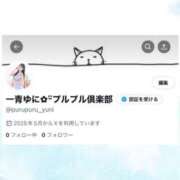 ヒメ日記 2025/05/20 20:12 投稿 一青　ゆに プルプル倶楽部 札幌すすきの店