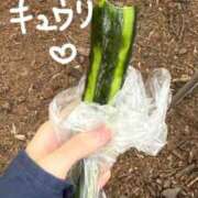 ヒメ日記 2025/06/16 22:12 投稿 一青　ゆに プルプル倶楽部 札幌すすきの店