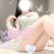 ヒメ日記 2026/01/08 08:18 投稿 一青　ゆに プルプル倶楽部 札幌すすきの店