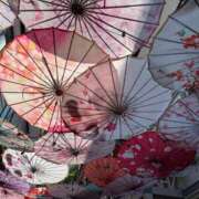 ヒメ日記 2026/02/28 21:12 投稿 一青　ゆに プルプル倶楽部 札幌すすきの店