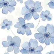 ほむら 深夜にこんばんは！ 横浜しこたまクリニック