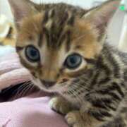 ヒメ日記 2024/12/30 10:56 投稿 かな 熟女の風俗アウトレット大垣安八羽島店