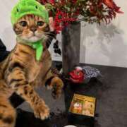 ヒメ日記 2025/01/03 10:26 投稿 かな 熟女の風俗アウトレット大垣安八羽島店