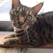 ヒメ日記 2025/01/11 10:20 投稿 かな 熟女の風俗アウトレット大垣安八羽島店