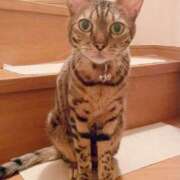 ヒメ日記 2025/02/01 10:16 投稿 かな 熟女の風俗アウトレット大垣安八羽島店