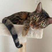 ヒメ日記 2025/02/09 08:56 投稿 かな 熟女の風俗アウトレット大垣安八羽島店