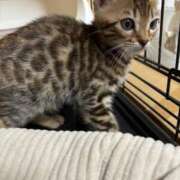 ヒメ日記 2025/03/01 08:46 投稿 かな 熟女の風俗アウトレット大垣安八羽島店