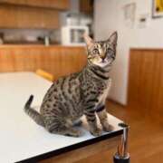 ヒメ日記 2025/03/02 09:06 投稿 かな 熟女の風俗アウトレット大垣安八羽島店