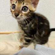 ヒメ日記 2025/03/18 16:51 投稿 かな 熟女の風俗アウトレット大垣安八羽島店