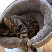 ヒメ日記 2025/03/22 08:46 投稿 かな 熟女の風俗アウトレット大垣安八羽島店