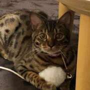 ヒメ日記 2025/03/27 08:16 投稿 かな 熟女の風俗アウトレット大垣安八羽島店