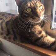 ヒメ日記 2025/04/03 08:46 投稿 かな 熟女の風俗アウトレット大垣安八羽島店