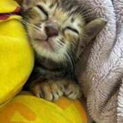 ヒメ日記 2025/04/08 08:36 投稿 かな 熟女の風俗アウトレット大垣安八羽島店