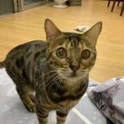 ヒメ日記 2025/04/12 08:16 投稿 かな 熟女の風俗アウトレット大垣安八羽島店