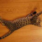 かな お礼日記💕 熟女の風俗アウトレット大垣安八羽島店