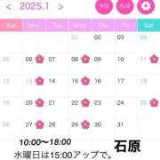 ヒメ日記 2024/12/28 09:36 投稿 石原 熟女の風俗最終章 新横浜店