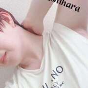 ヒメ日記 2025/06/10 06:46 投稿 石原 熟女の風俗最終章 新横浜店