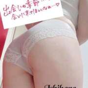 ヒメ日記 2025/07/31 09:46 投稿 石原 熟女の風俗最終章 新横浜店