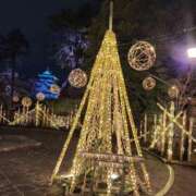 ヒメ日記 2025/11/24 08:33 投稿 ひとみ【レギュラー】 大人のゴシャール