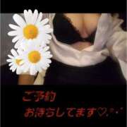 ヒメ日記 2025/12/16 21:42 投稿 ひとみ【レギュラー】 大人のゴシャール