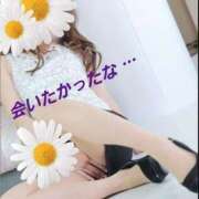 ヒメ日記 2026/01/25 08:48 投稿 ひとみ【レギュラー】 大人のゴシャール