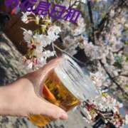 ひとみ【レギュラー】 こんばんฅ՞•ﻌ•՞ฅワン♥ 大人のゴシャール