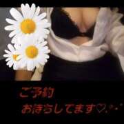 ヒメ日記 2026/06/12 17:03 投稿 ひとみ【レギュラー】 大人のゴシャール
