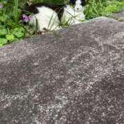 ヒメ日記 2025/05/26 19:02 投稿 神楽ももな MAHARAJA(マハラジャ)千葉