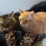 ヒメ日記 2026/03/27 19:45 投稿 れもん 宮崎SANSAIN