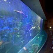 ヒメ日記 2026/04/21 19:45 投稿 れもん 宮崎SANSAIN