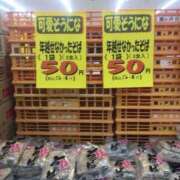 ヒメ日記 2025/01/11 08:50 投稿 あやの 吉原クラブ ジェントルマン