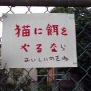 ヒメ日記 2025/03/13 14:41 投稿 あやの 吉原クラブ ジェントルマン