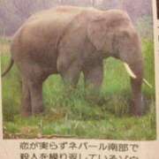 ヒメ日記 2025/06/03 14:44 投稿 あやの 吉原クラブ ジェントルマン