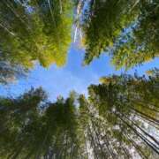 ヒメ日記 2026/01/15 09:38 投稿 あやの 吉原クラブ ジェントルマン